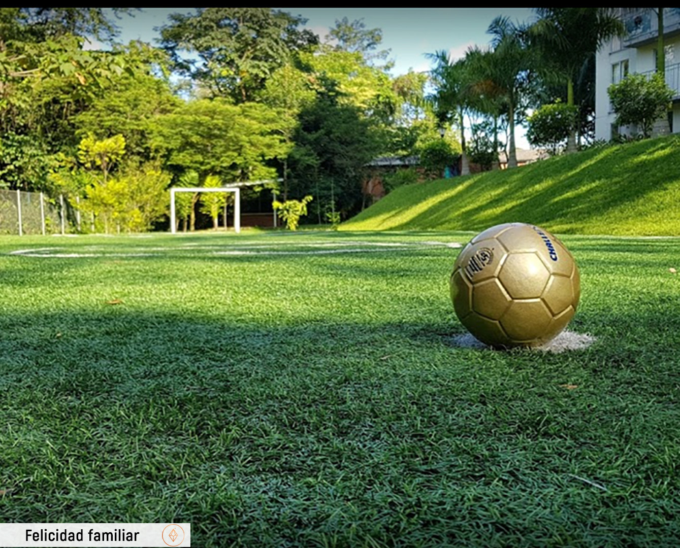 Cancha con balon